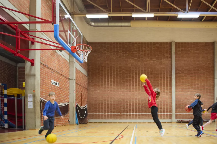 Basketbal