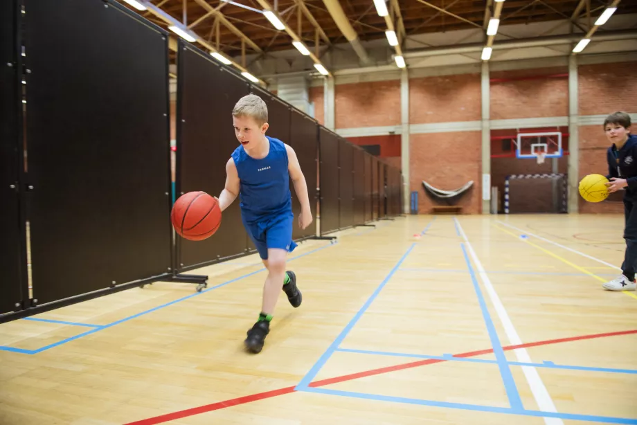 Basketbal